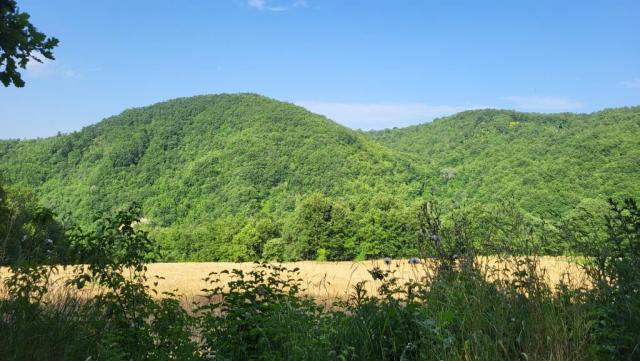20250616_085012.jpg