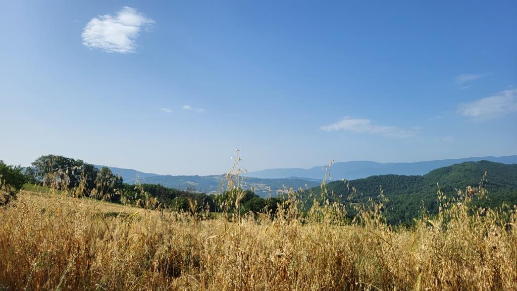 20250616_085130.jpg
