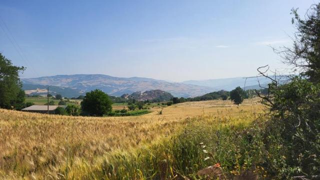 20250616_085707.jpg