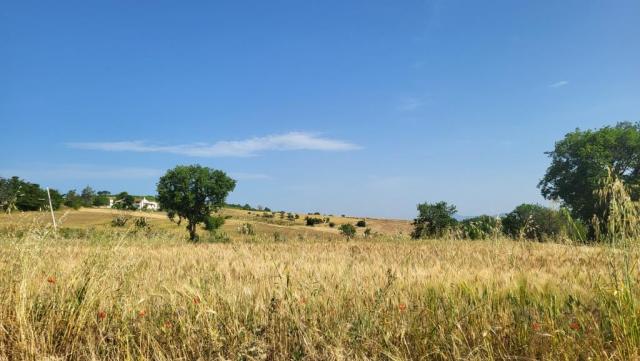 20250616_085724.jpg