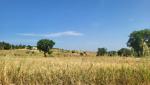 20250616_085724.jpg