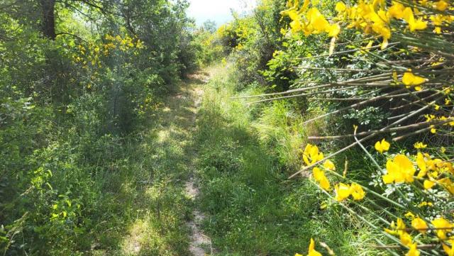 20250616_093841.jpg