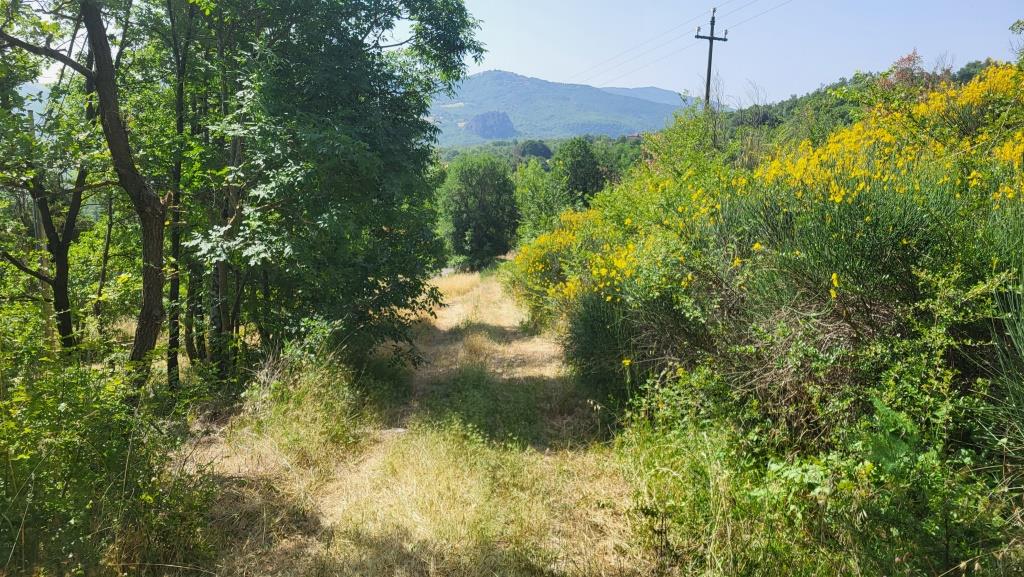 20250616_095515.jpg
