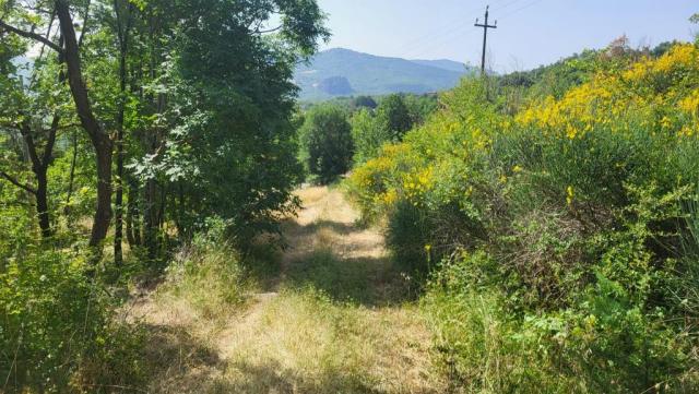 20250616_095515.jpg