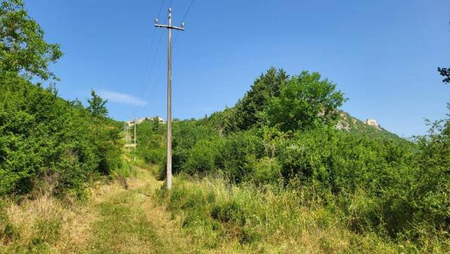 20250616_100037.jpg