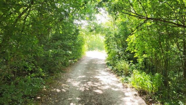 20250616_100616.jpg