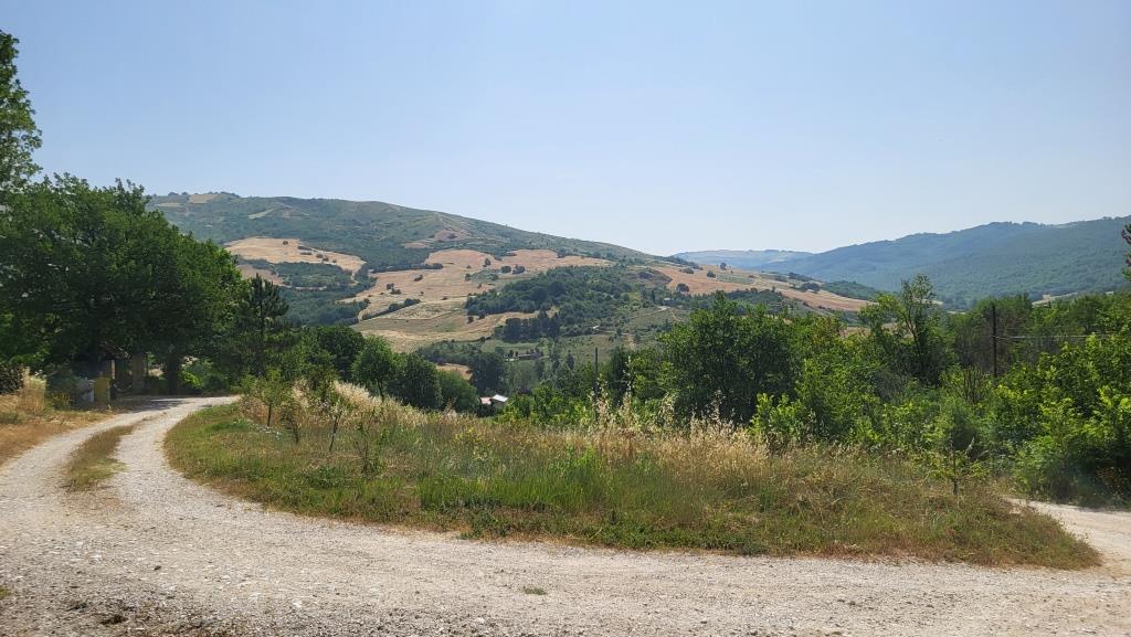 20250616_100722.jpg