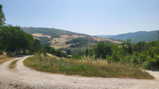 20250616_100722.jpg
