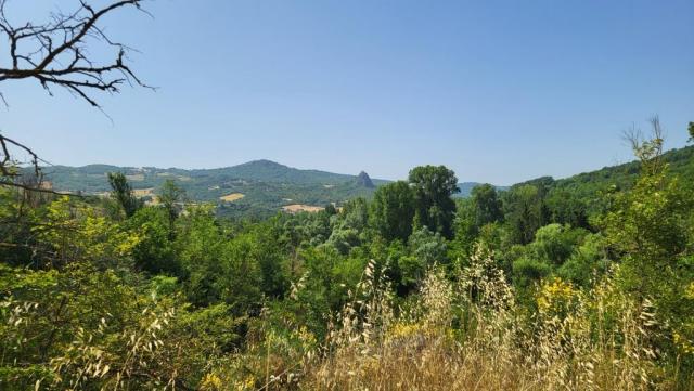 20250616_103114.jpg