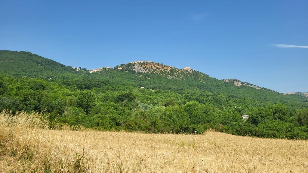 20250616_103155.jpg