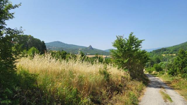 20250616_103519.jpg