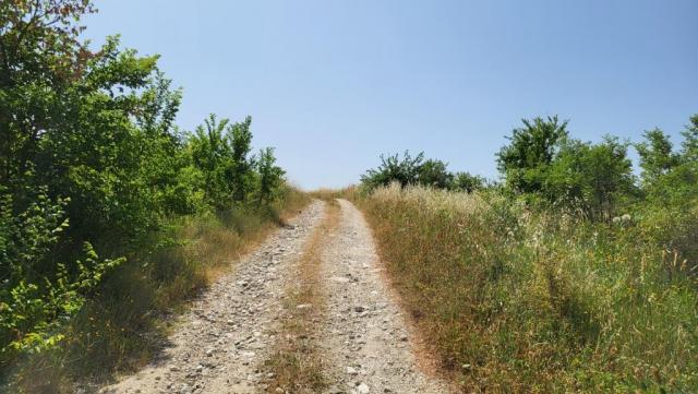 20250616_104956.jpg