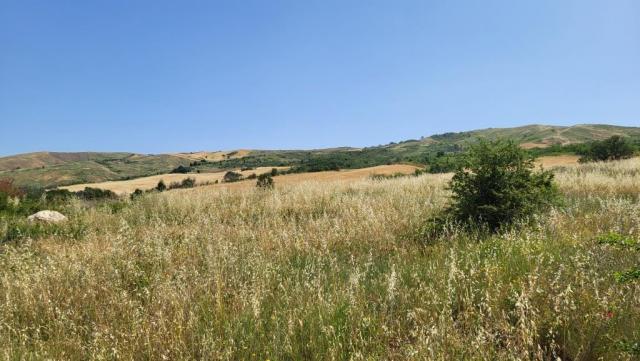 20250616_105100.jpg