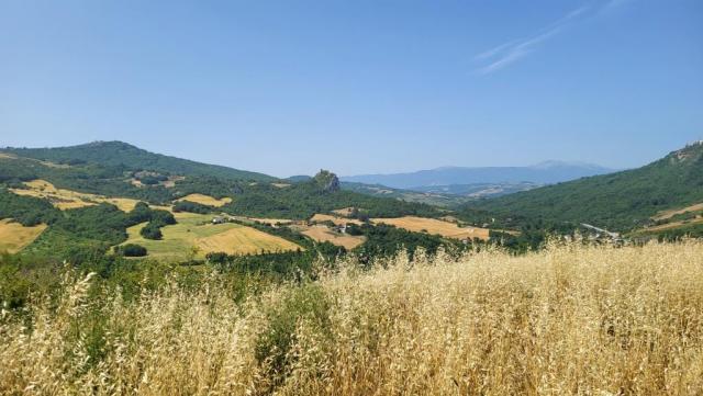 20250616_105129.jpg