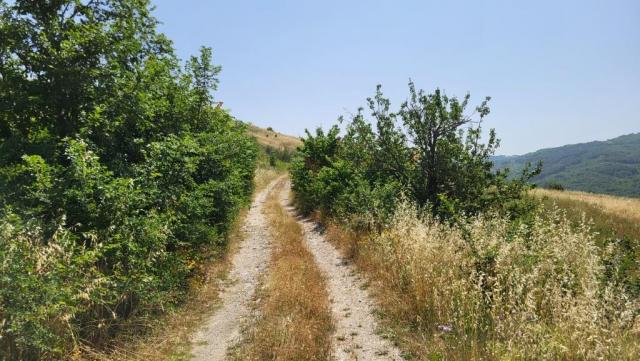 20250616_105936.jpg