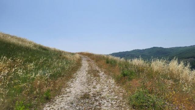 20250616_110143.jpg
