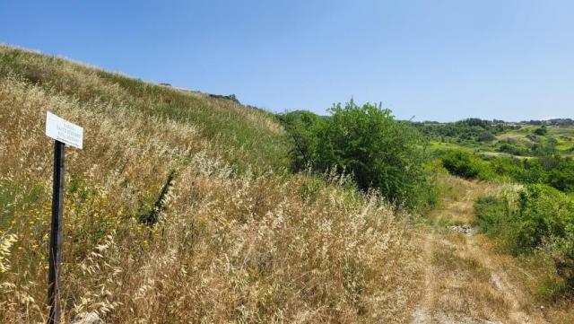 20250616_110302.jpg
