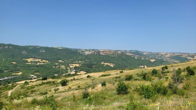 20250616_110751.jpg