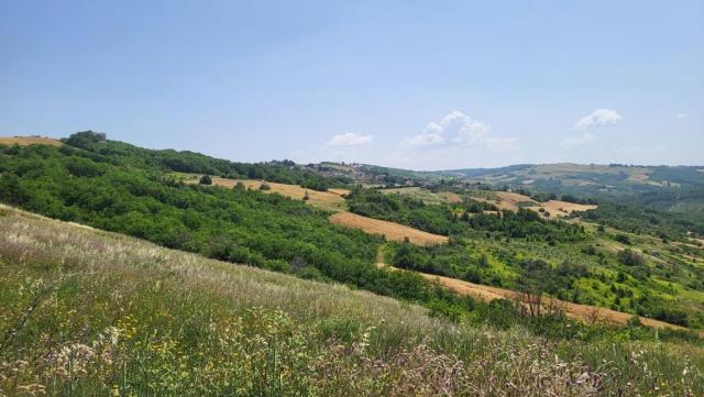 20250616_111956.jpg