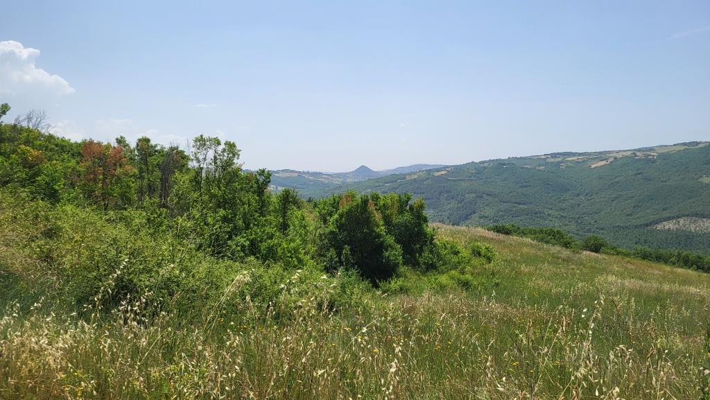 20250616_113242.jpg