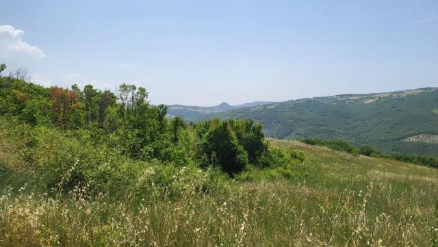 20250616_113242.jpg
