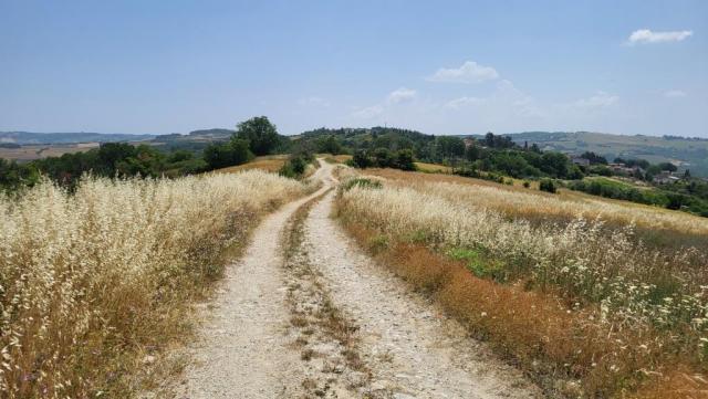 20250616_114211.jpg