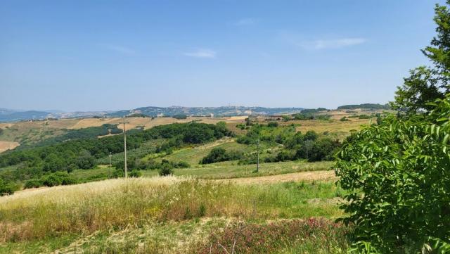 20250616_123936.jpg