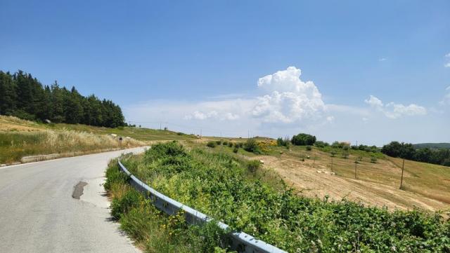 20250616_131137.jpg