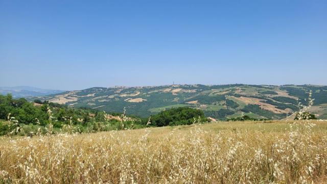 20250616_132114.jpg