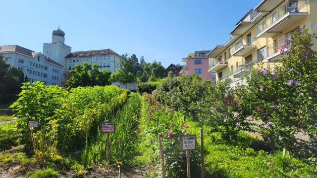 durch Quartierstrassen verlassen wir das belebte Pfäffikon