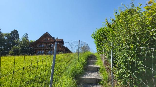 die achte Etappe ist die «Bergetappe» der Tour. Das bemerken wir sehr schnell