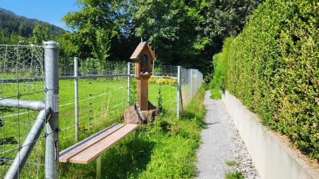 20250807_103041.jpg