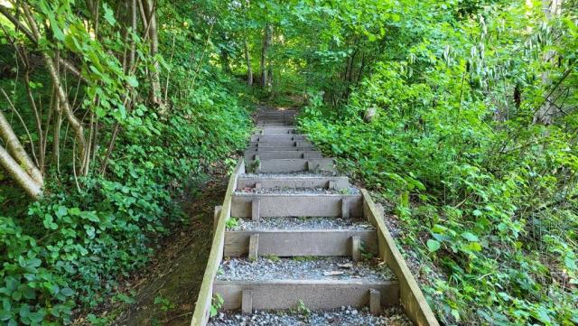 die Naturwege sind zum Teil mit Treppenstufen gesichert