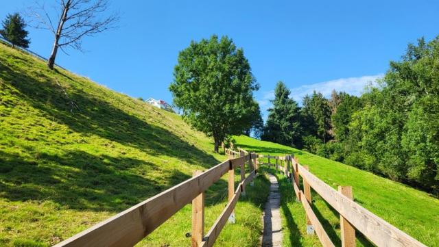 über die Alpweiden des Vorderhof geht es...