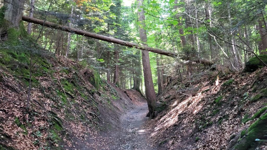 über einen Hohlweg wandern wir weiter aufwärts