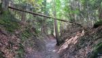 über einen Hohlweg wandern wir weiter aufwärts
