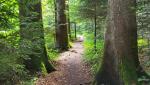 unser nächstes Ziel lautet Etzelpass