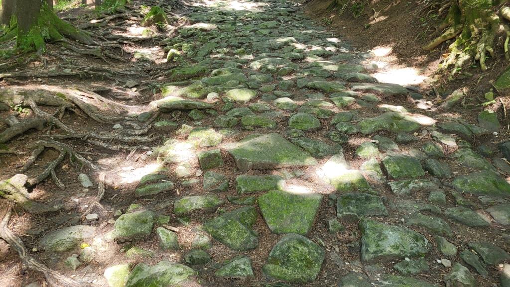 der kontinuierliche Aufstieg führt über einen Säumerweg dem Waldrand entlang