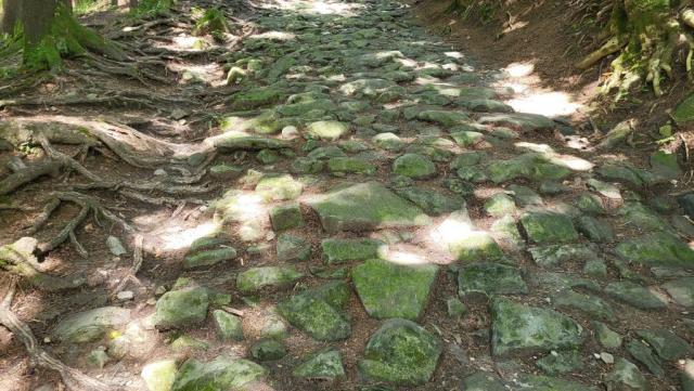 der kontinuierliche Aufstieg führt über einen Säumerweg dem Waldrand entlang