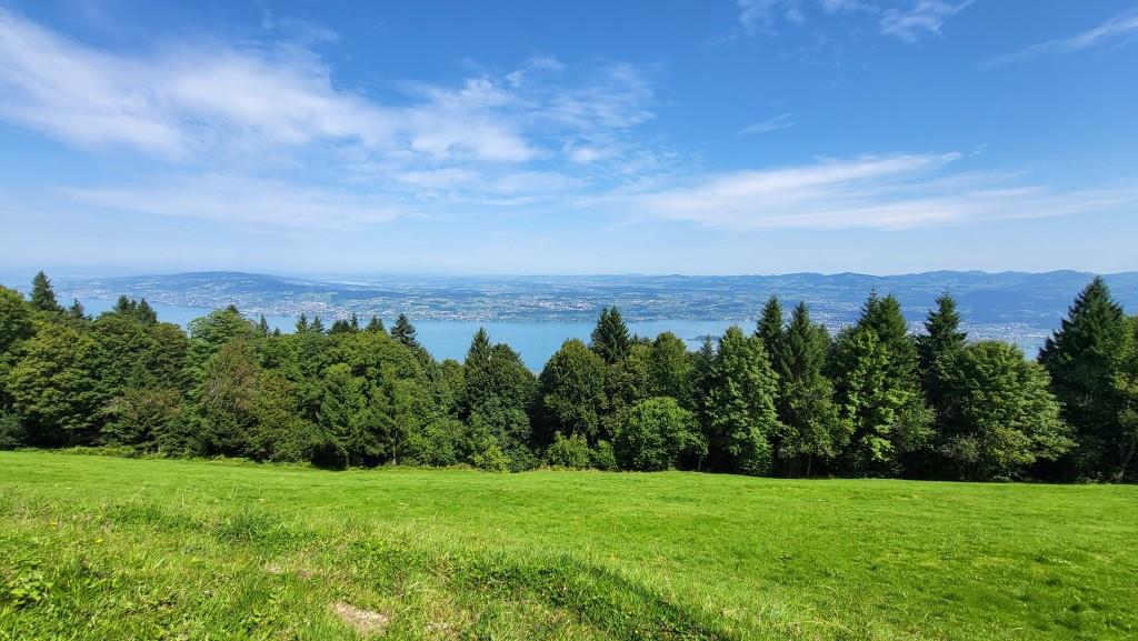 was für eine prächtige Rundumsicht hinunter zum Zürichsee