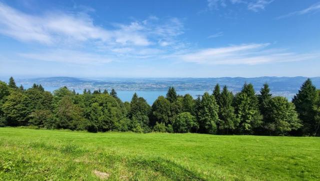 was für eine prächtige Rundumsicht hinunter zum Zürichsee