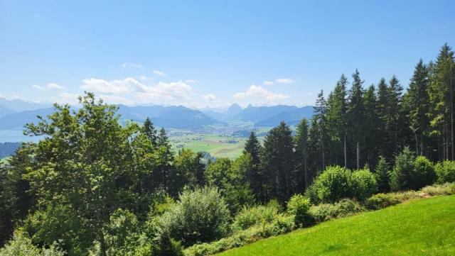 mit einer grandiosen Aussicht verlassen den Etzel