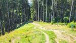 über den Etzelwald geht es nun abwärts