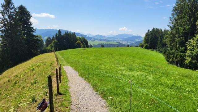 Wald und Wiesen wechseln sich ab