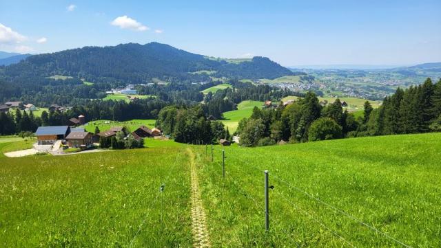 über Weiden geht es hinunter zum Hof Büel
