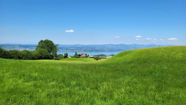 wir verlassen Schindellegi und wandern weiter abwärts nun Richtung Wollerau