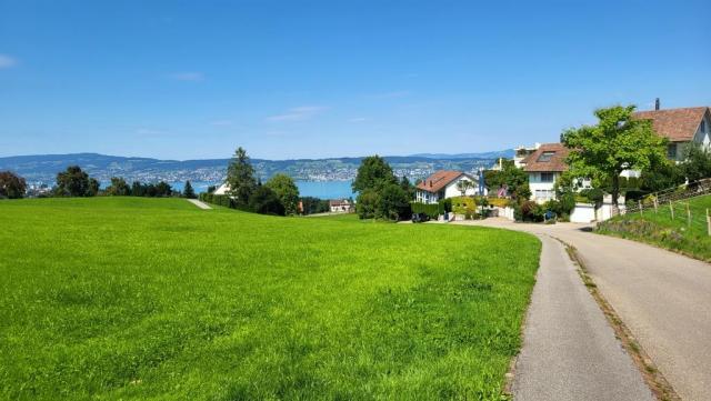 wir lassen Wollerau hinter uns, und wandern weiter abwärts, zum Tagesziel Richterswil