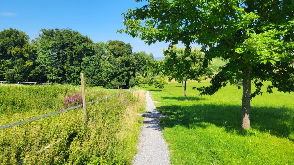 bei Altenbach