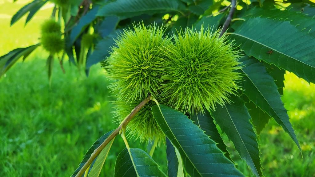 der Herbst ist nicht mehr weit