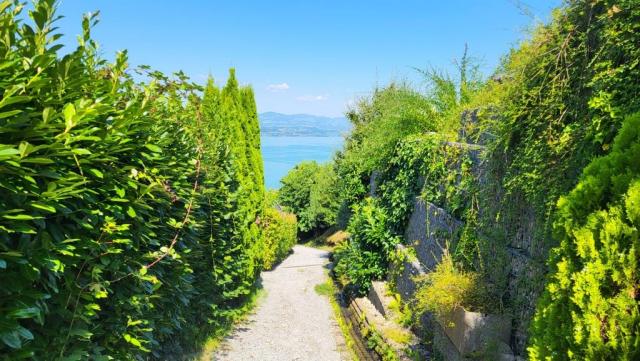 über schmale Quartierwege geht hinunter nach Richterswil, wo die heutige Etappe endet